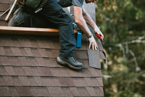 Best Roof Gutter Cleaning  in Factoryville, PA